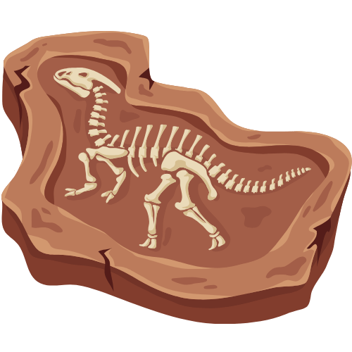 Fossil Dig